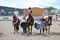 Three riders Share Top Spot in the STX-UK Pony Foxhunter Second Round at Kelsall Hill Equestrian
